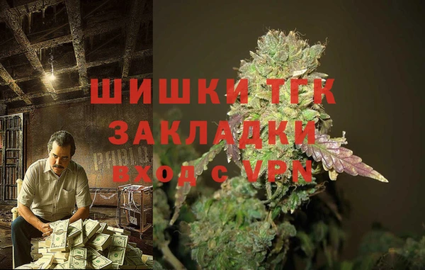 шишки Арсеньев