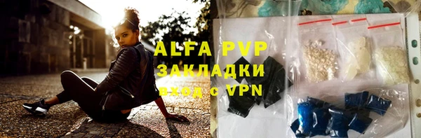 шишки Арсеньев