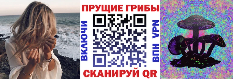 Галлюциногенные грибы Psilocybe  hydra зеркало  Верхняя Салда  наркошоп 